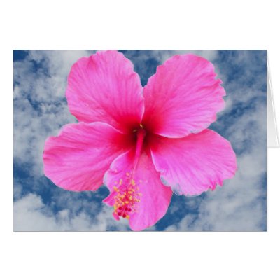 Sky High Hibiscus Greeting Card by SeaAngel