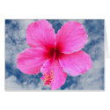 Sky High Hibiscus cards by SeaAngel Sky High Hibiscus cards