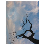 Sky Letterhead