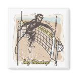 Sky Monkey Volleyball by Mudge Studios magnets
