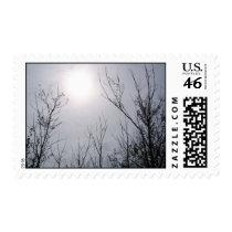 Sky Moods Stamp