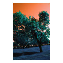 Sky on fire stationery design