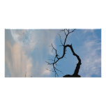 Sky Customized Photo Card