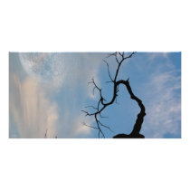 Sky Customized Photo Card