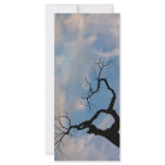 Sky Custom Rack Card