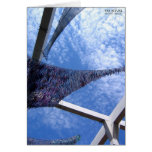 Sky Ritual cards