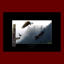 SKY SPIRITS Art Poster posters