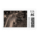 Sky Stamp by EWA_TLCstables Sky Stamp
