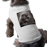 Sky Sunlight Saxon in Toulouse Dog T Shirt