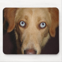 Sky The Golden Retriever Mousepad by Country1969 Sky The Golden Retriever Mousepad