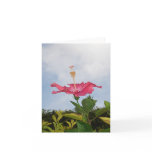 Sky Trumpet Greeting Cards