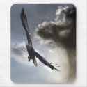 "Sky Warrior" Bald Eagle Gifts mousepads by HANDPRINTS "Sky Warrior" Bald Eagle Gifts mousepads