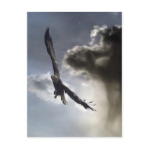"Sky Warrior" Bald Eagle Gifts postcards