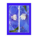 SKYBLUES II BOOKMARKS postcards