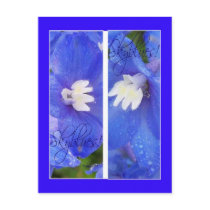 SKYBLUES II BOOKMARKS postcards