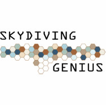 Skydiving Genius photo sculptures