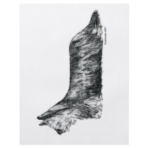 Skye Terrier flyers