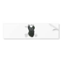 Skye Terrier History Design Bumper Sticker