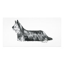 Skye Terrier Photo Greeting Card