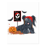 Skye Terrier Pirate for Halloween Post Cards