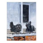 Skye Terriers wait on the Porch Post Card