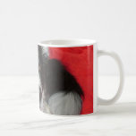 Skye the Border Collie mugs