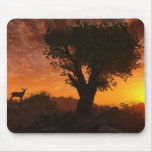 Skyfire mousepads