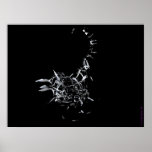 SKYLANTHROPOS POSTER