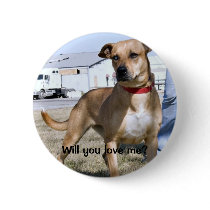Skylina, Will you love me? button