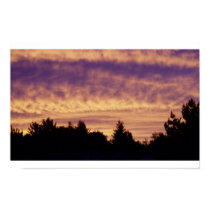Skyline 5.18.2006 posters