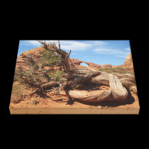 Skyline Arch, Utah canvas prints