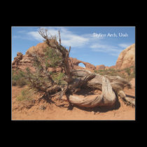 Skyline Arch, Utah postcards
