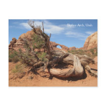 Skyline Arch, Utah Postcards