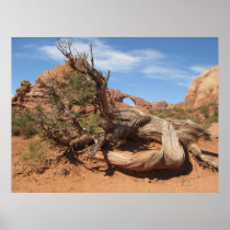 Skyline Arch, Utah Poster