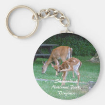Skyline Drive Key Chain