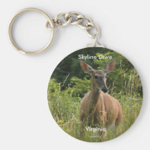 Skyline Drive Key Chains