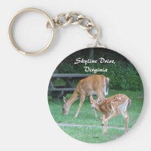 Skyline Drive Keychain