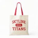 Skyline - Titans - High - Oakland California bags