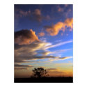 Skyscapes : Ferntree Gully - POSTER posters