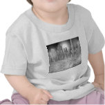 skyscraper scene.shpn.09 shirts