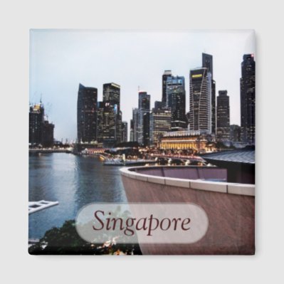 Skyscraper Views : Singapore Magnet