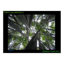 Skyward Bamboo too posters by Kiyoshi Skyward Bamboo too posters