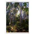 Skyward cards by My_Island_Home_ Skyward cards