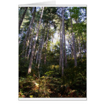 Skyward cards