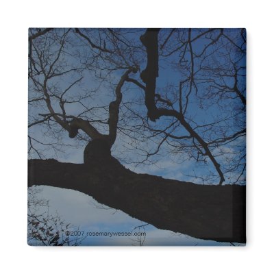 Skyward Magnet by shinaweh
