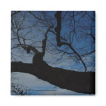 Skyward Magnet