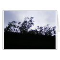 skywiew cards