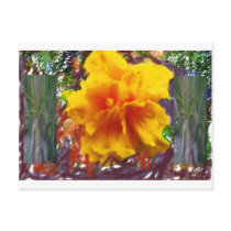 sl amy3 postcard