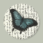 Slate Blue & Black Butterfly on Asian Writing