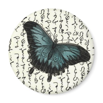 slate blue black butterfly on asian writing magnets by jujugarden